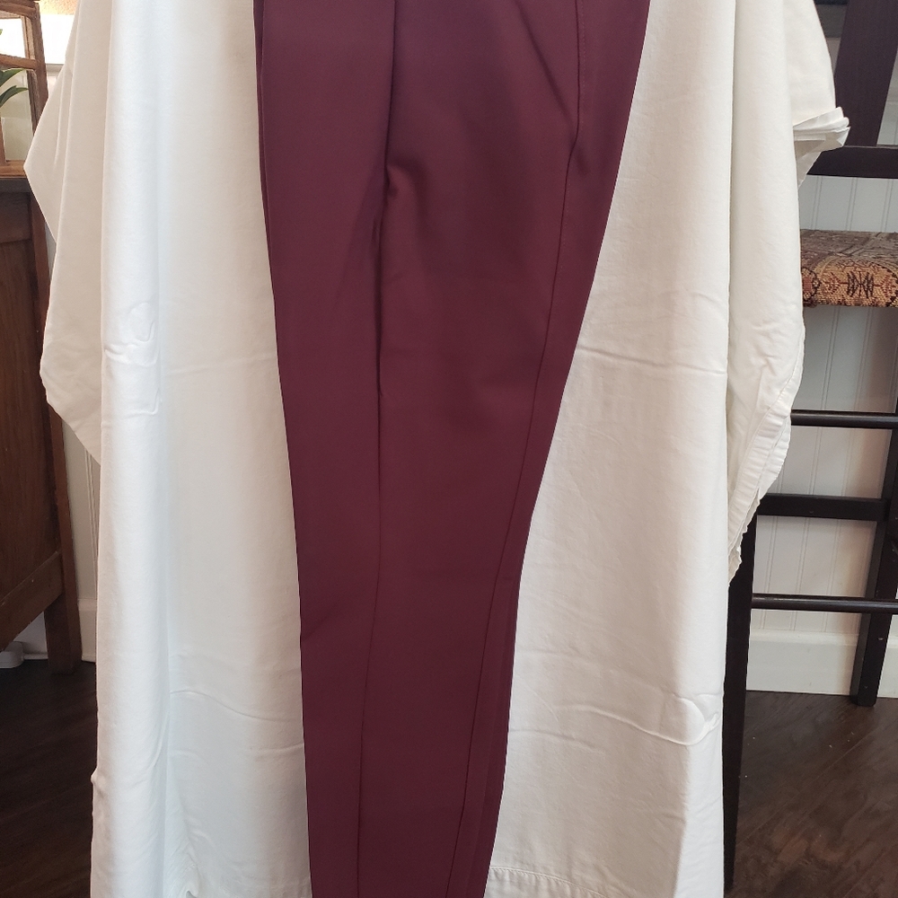 WHBM side zip pants